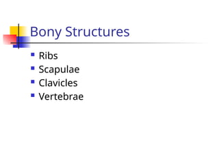  Ribs
 Scapulae
 Clavicles
 Vertebrae
Bony Structures
 
