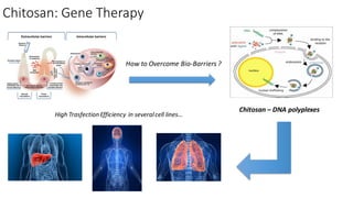 Chitosan in drugs and gene delivery .pdf