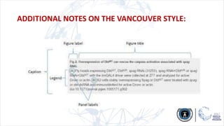 ADDITIONAL NOTES ON THE VANCOUVER STYLE:
 