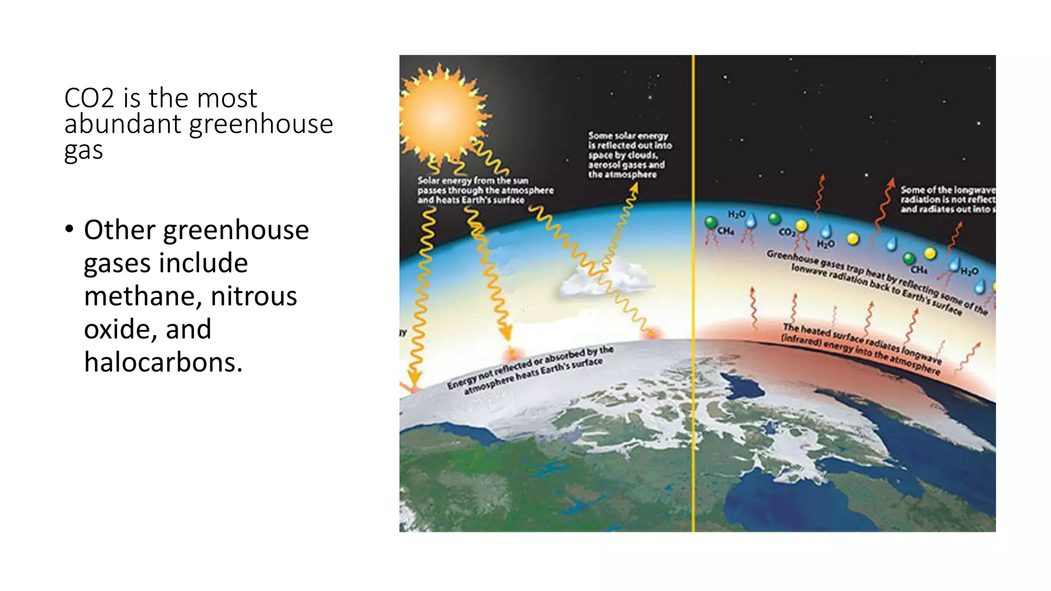 CO2 is the most
abundant greenhouse
gas
• Other greenhouse
gases include
methane, nitrous
oxide, and
halocarbons.
 