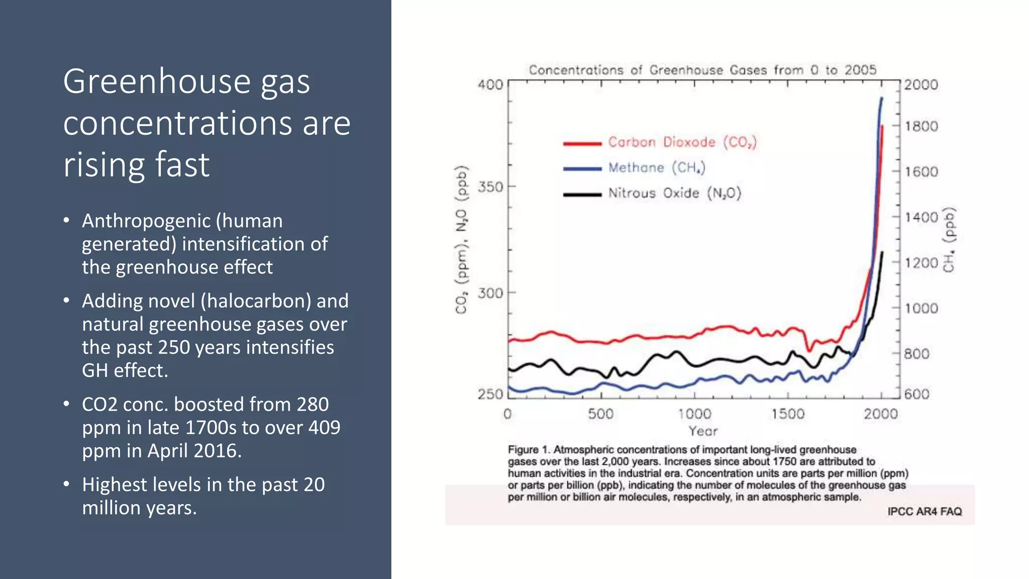 Greenhouse gas
concentrations are
rising fast
• Anthropogenic (human
generated) intensification of
the greenhouse effect
• Adding novel (halocarbon) and
natural greenhouse gases over
the past 250 years intensifies
GH effect.
• CO2 conc. boosted from 280
ppm in late 1700s to over 409
ppm in April 2016.
• Highest levels in the past 20
million years.
 