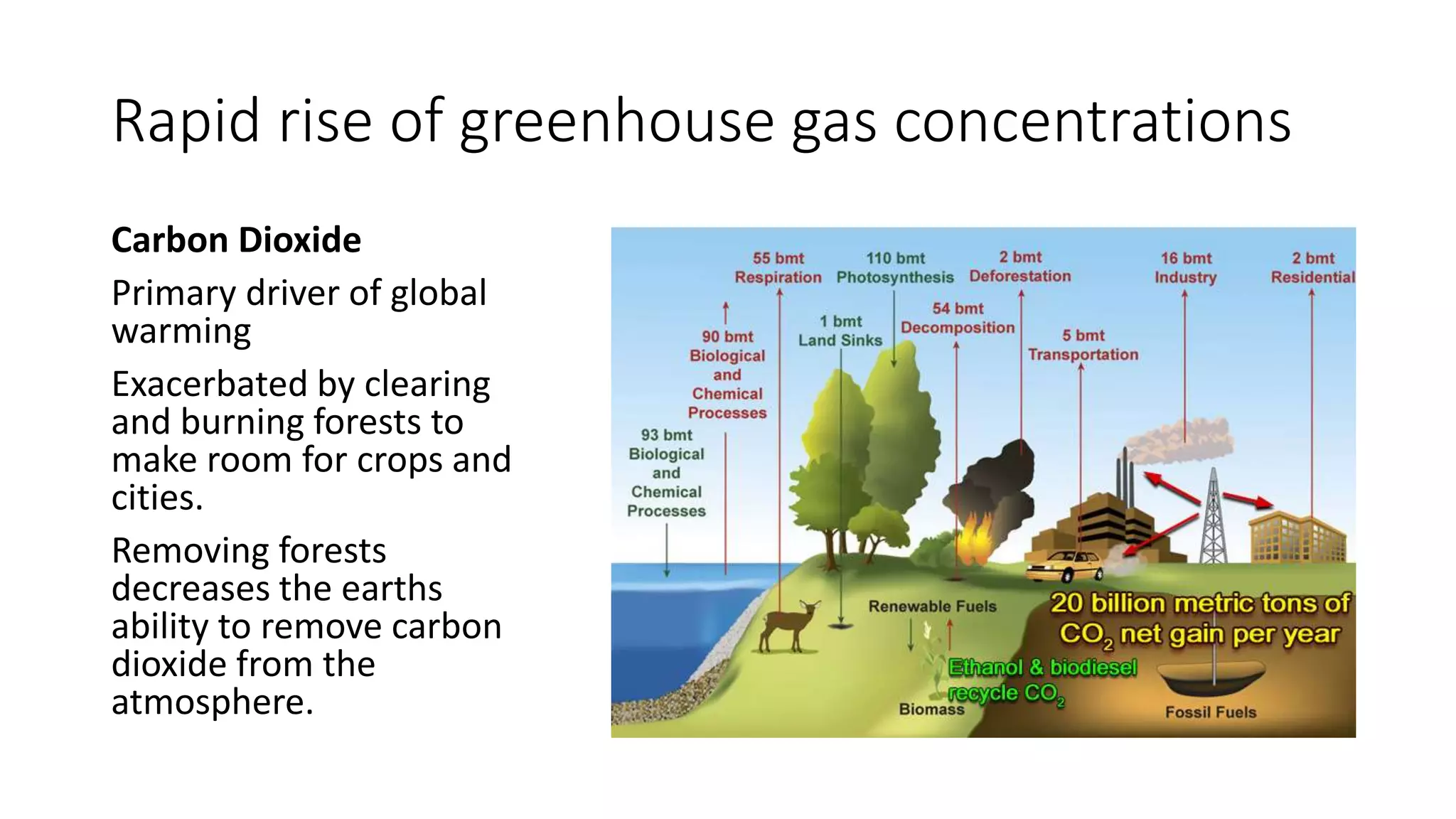Rapid rise of greenhouse gas concentrations
Carbon Dioxide
Primary driver of global
warming
Exacerbated by clearing
and burning forests to
make room for crops and
cities.
Removing forests
decreases the earths
ability to remove carbon
dioxide from the
atmosphere.
 