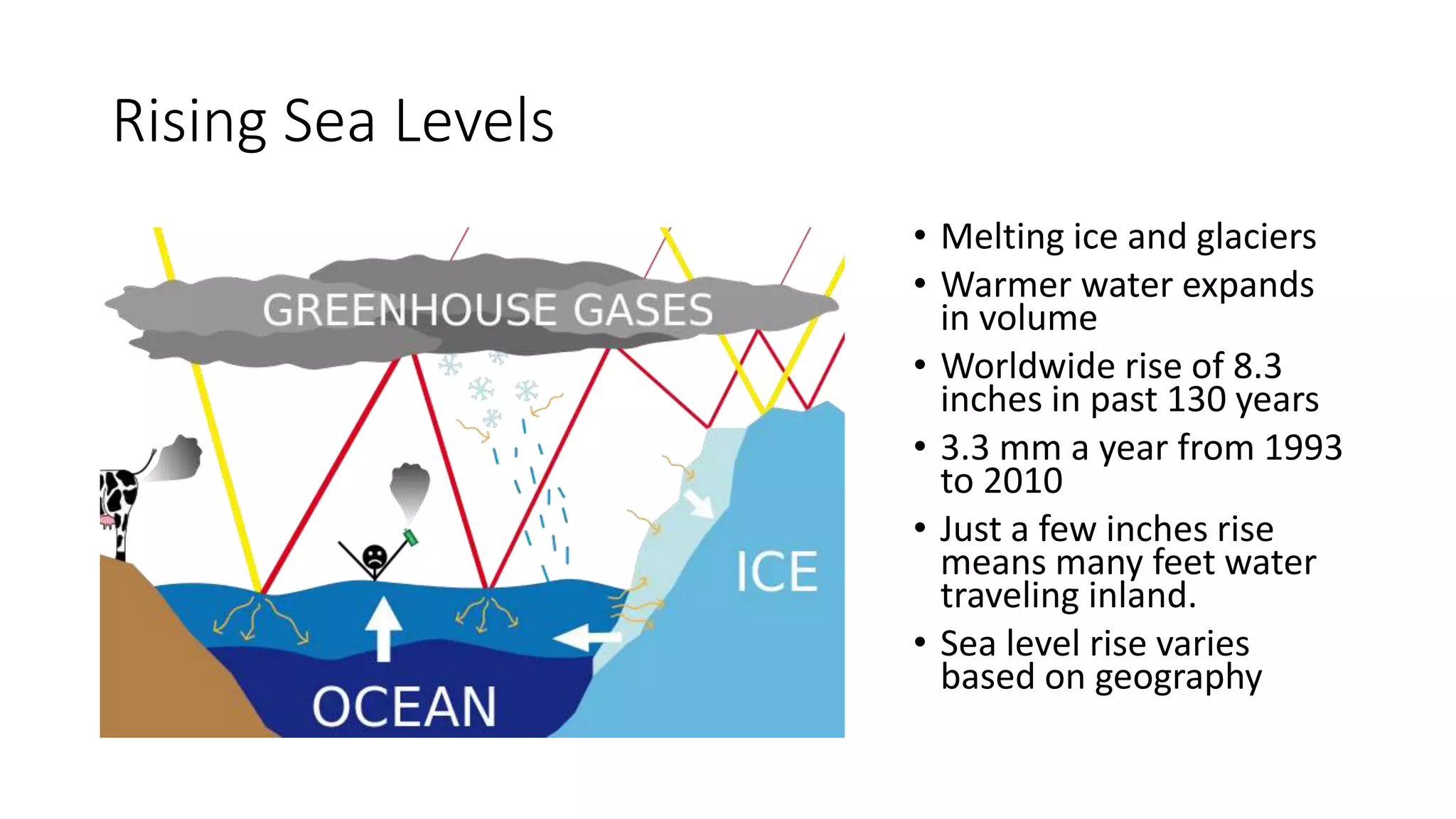 Rising Sea Levels
• Melting ice and glaciers
• Warmer water expands
in volume
• Worldwide rise of 8.3
inches in past 130 years
• 3.3 mm a year from 1993
to 2010
• Just a few inches rise
means many feet water
traveling inland.
• Sea level rise varies
based on geography
 
