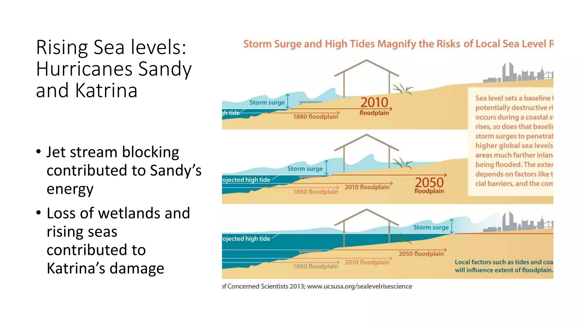 Rising Sea levels:
Hurricanes Sandy
and Katrina
• Jet stream blocking
contributed to Sandy’s
energy
• Loss of wetlands and
rising seas
contributed to
Katrina’s damage
 