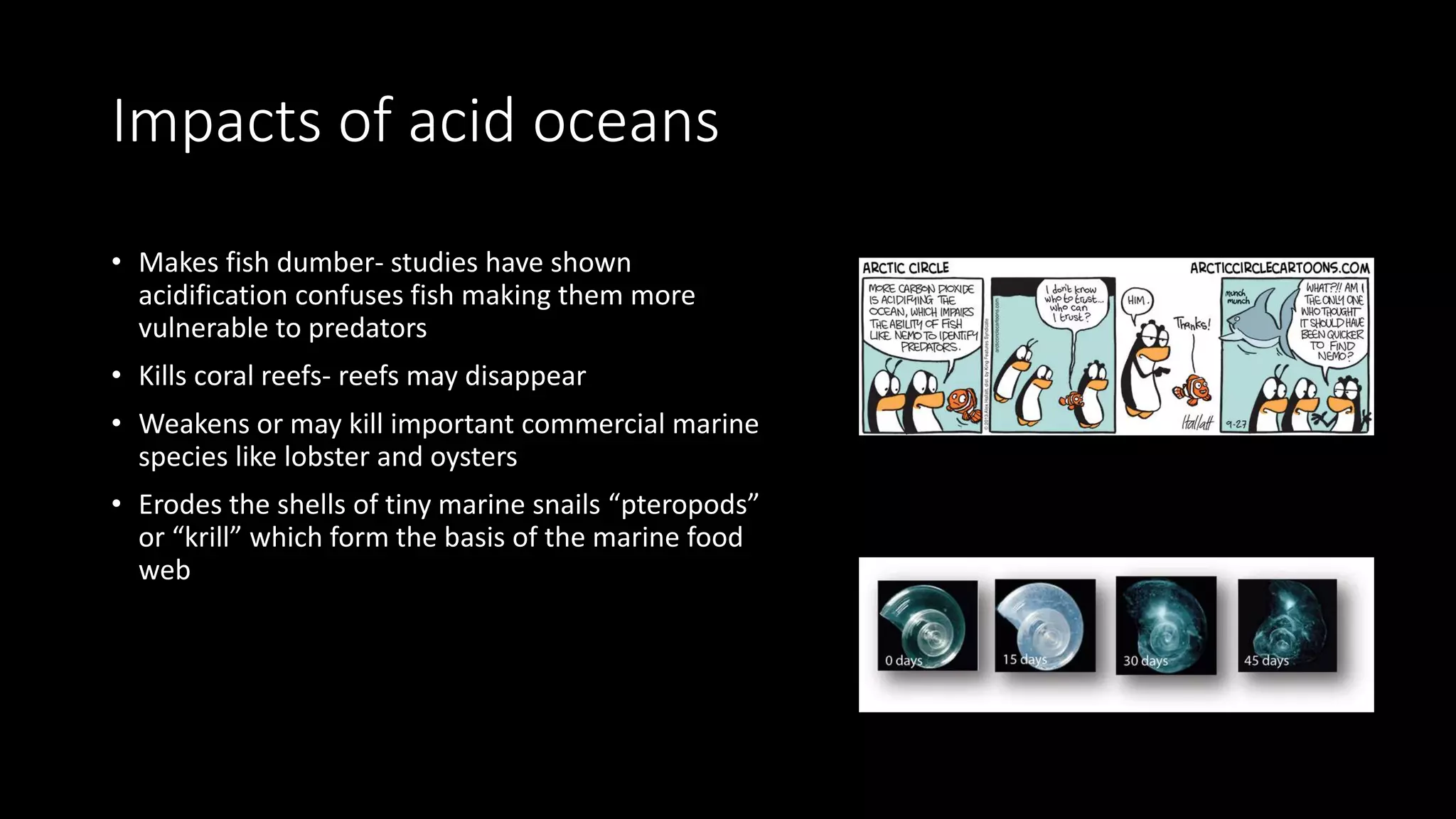 Impacts of acid oceans
• Makes fish dumber- studies have shown
acidification confuses fish making them more
vulnerable to predators
• Kills coral reefs- reefs may disappear
• Weakens or may kill important commercial marine
species like lobster and oysters
• Erodes the shells of tiny marine snails “pteropods”
or “krill” which form the basis of the marine food
web
 