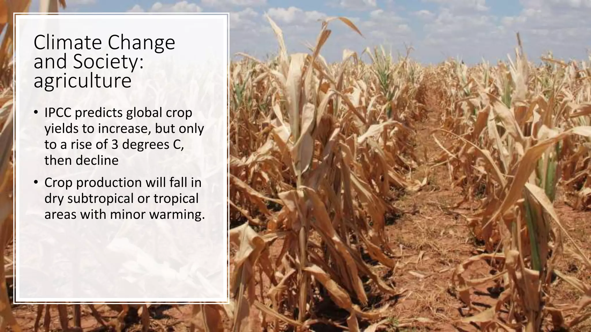 Climate Change
and Society:
agriculture
• IPCC predicts global crop
yields to increase, but only
to a rise of 3 degrees C,
then decline
• Crop production will fall in
dry subtropical or tropical
areas with minor warming.
 