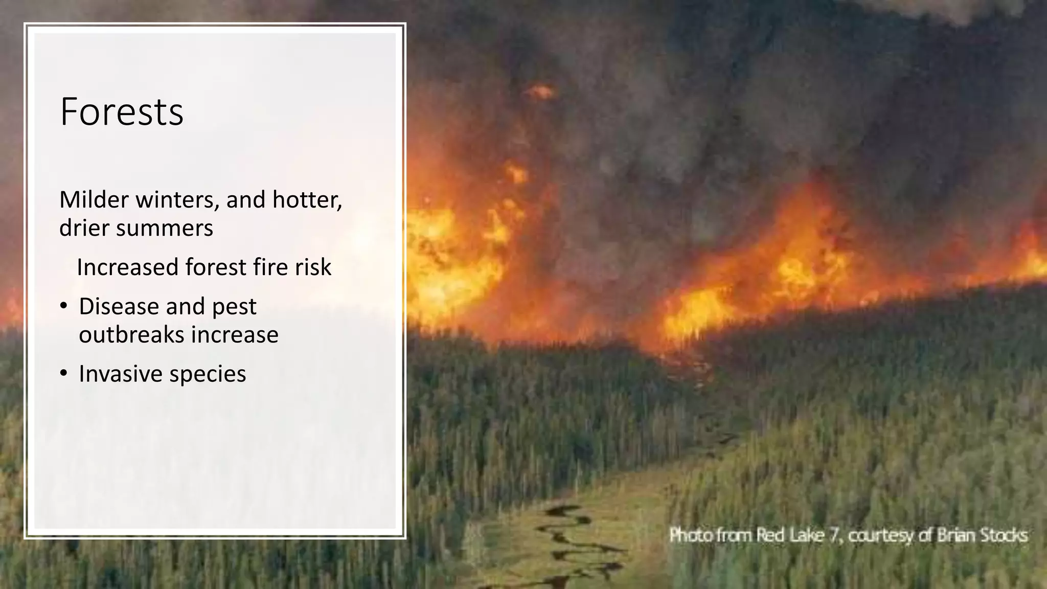 Forests
Milder winters, and hotter,
drier summers
Increased forest fire risk
• Disease and pest
outbreaks increase
• Invasive species
 