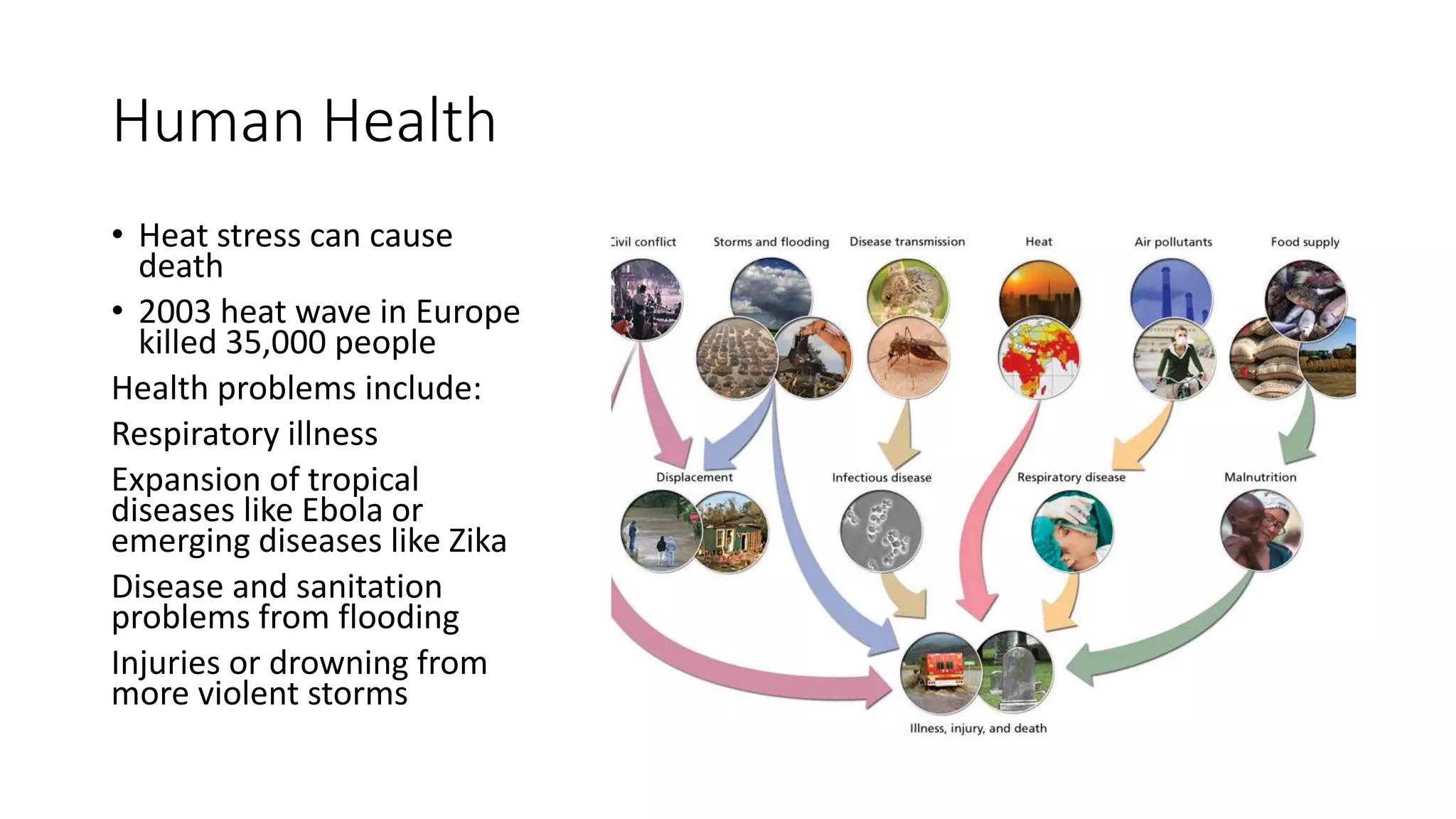 Human Health
• Heat stress can cause
death
• 2003 heat wave in Europe
killed 35,000 people
Health problems include:
Respiratory illness
Expansion of tropical
diseases like Ebola or
emerging diseases like Zika
Disease and sanitation
problems from flooding
Injuries or drowning from
more violent storms
 