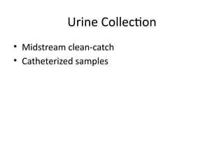 Comprehensive Guide to Culturing Clinical Microbiology Samples | PPTX