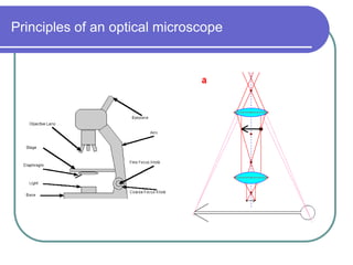 Lecture_3_conventional-Microscope.pdf