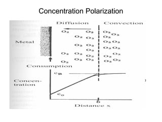 Concentration Polarization
 