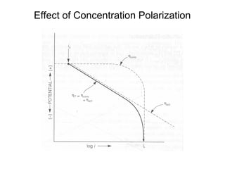 Effect of Concentration Polarization
 