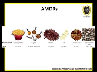 Amdr Program Lecture 3 Dietary requirements and guidelines | PPTX
