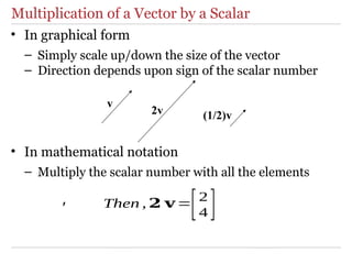 Lecture3_DIY_Vectors_Matrices for Undergraduate level | PPTX
