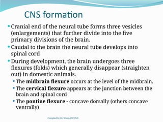 Comprehensive Embryology of the Nervous System: Development and ...