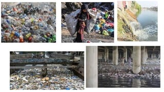 Environmental Problems (Local, Regional, and Global Levels) | PPTX