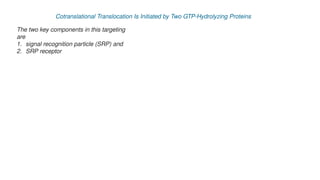 Endoplasmic reticulum LECTURE 3 ER 240925 pptx.pptx