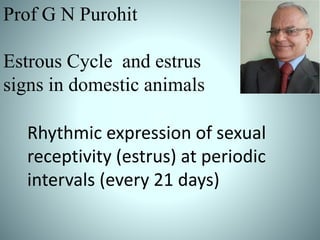 Rhythmic expression of sexual
receptivity (estrus) at periodic
intervals (every 21 days)
Prof G N Purohit
Estrous Cycle and estrus
signs in domestic animals
 