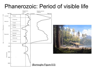 Phanerozoic: Period of visible life
(Burroughs Figure 8.5)
 