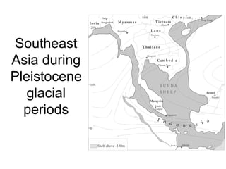 Southeast
Asia during
Pleistocene
glacial
periods
 