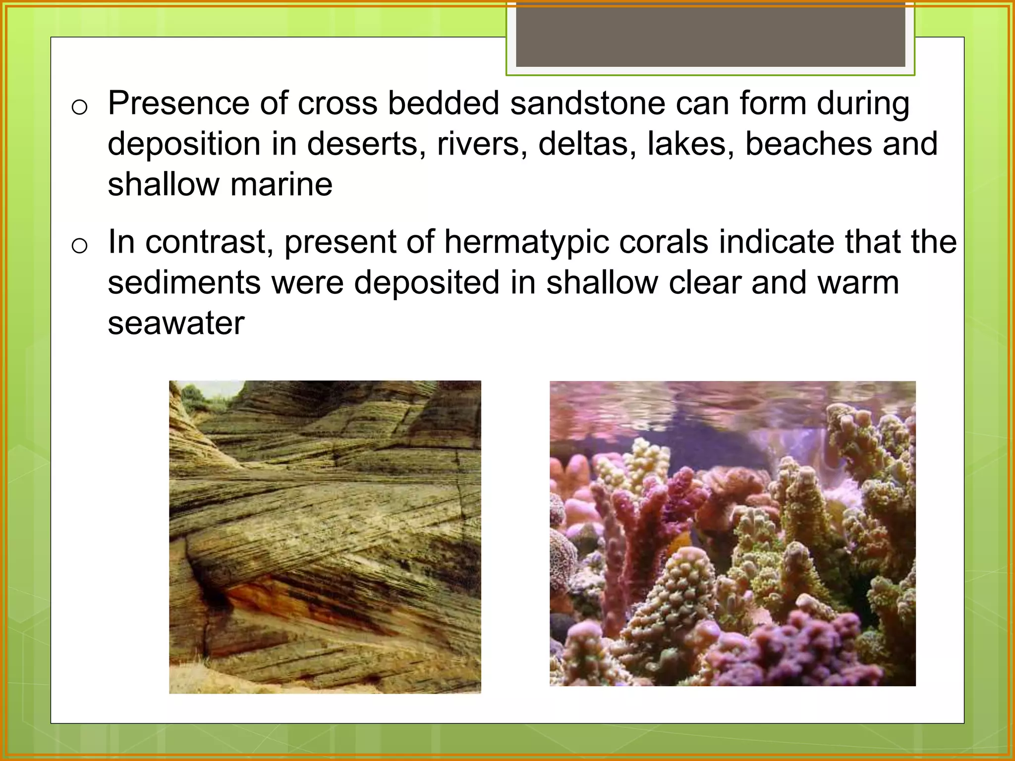 o Presence of cross bedded sandstone can form during 
deposition in deserts, rivers, deltas, lakes, beaches and 
shallow marine 
o In contrast, present of hermatypic corals indicate that the 
sediments were deposited in shallow clear and warm 
seawater 
 