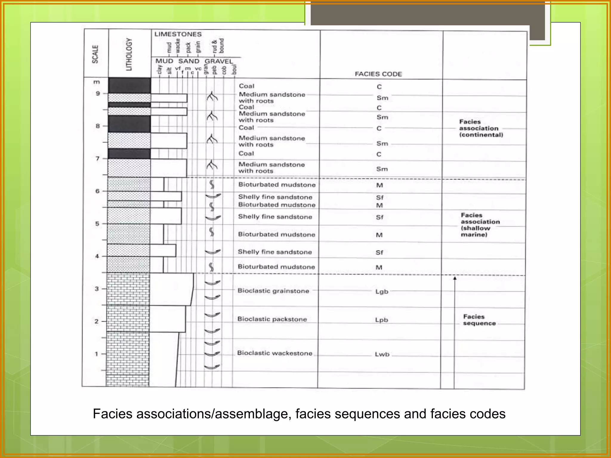 Facies associations/assemblage, facies sequences and facies codes 
 