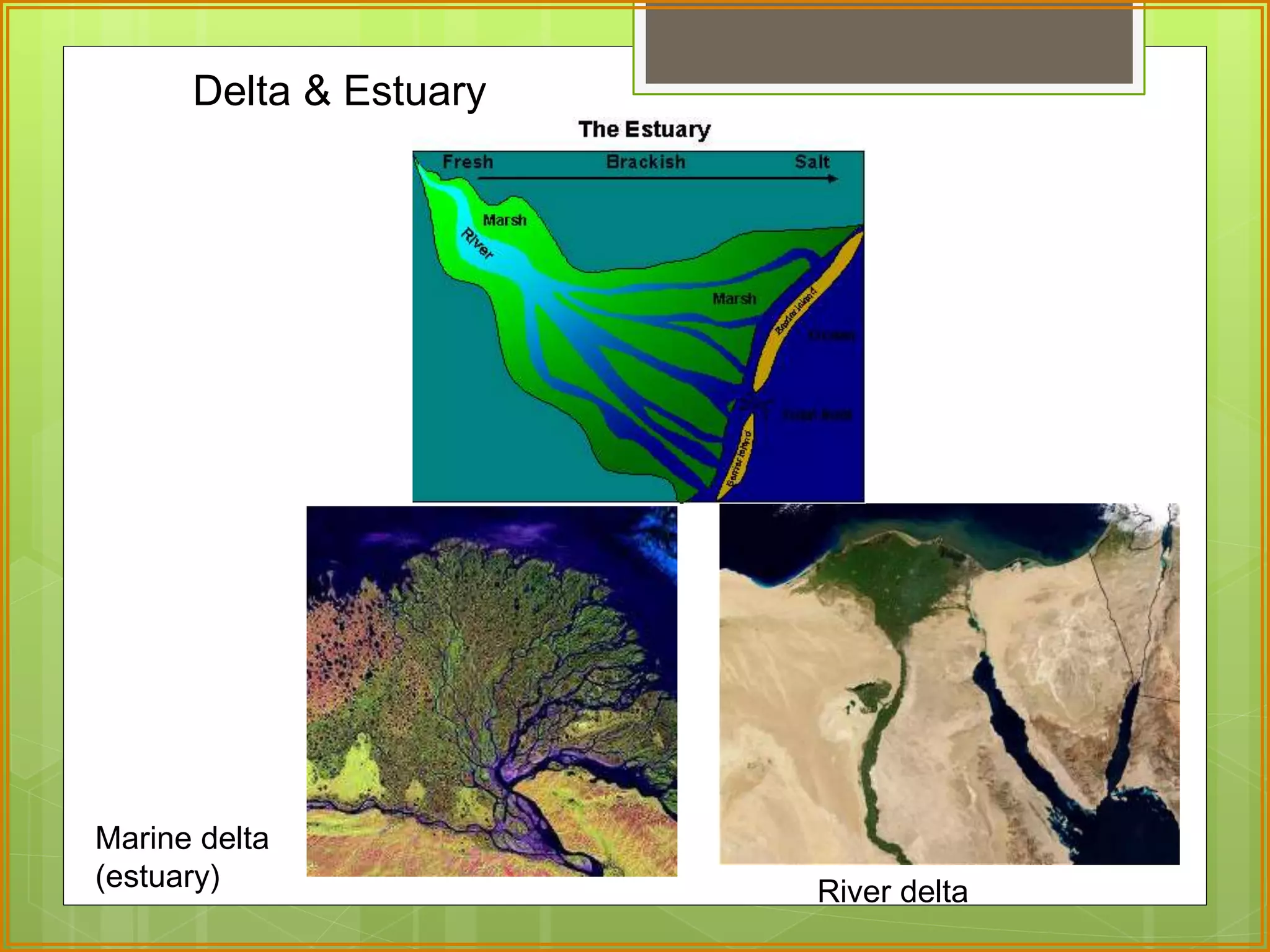 Delta & Estuary 
Marine delta 
(estuary) 
River delta 
 