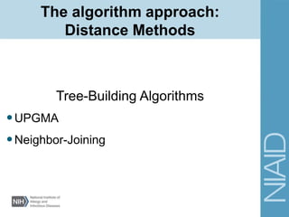 Tree-Building Algorithms
•UPGMA
•Neighbor-Joining
The algorithm approach:
Distance Methods
 