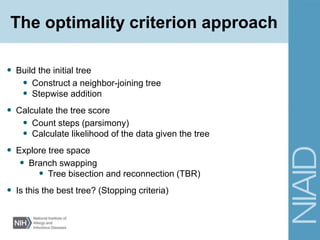 • Build the initial tree
• Construct a neighbor-joining tree
• Stepwise addition
• Calculate the tree score
• Count steps (parsimony)
• Calculate likelihood of the data given the tree
• Explore tree space
• Branch swapping
• Tree bisection and reconnection (TBR)
• Is this the best tree? (Stopping criteria)
The optimality criterion approach
 