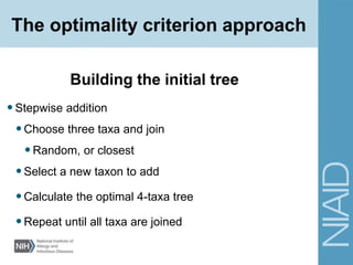 •Stepwise addition
•Choose three taxa and join
•Random, or closest
•Select a new taxon to add
•Calculate the optimal 4-taxa tree
•Repeat until all taxa are joined
Building the initial tree
The optimality criterion approach
 