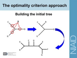 Building the initial tree
BC
D
G
C
D
G
A
B
C D
E
F
G
B
The optimality criterion approach
 