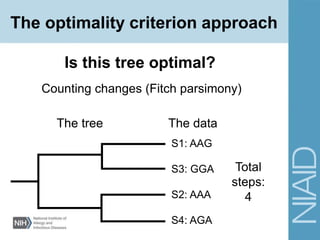 Counting changes (Fitch parsimony)
Is this tree optimal?
The tree The data
S1: AAG
S3: GGA
S2: AAA
S4: AGA
Total
steps:
4
The optimality criterion approach
 