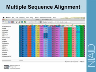 Multiple Sequence Alignment
 