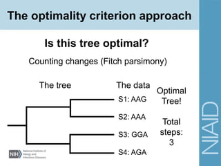 Counting changes (Fitch parsimony)
Is this tree optimal?
The tree The data
S1: AAG
S2: AAA
S3: GGA
S4: AGA
Optimal
Tree!
Total
steps:
3
The optimality criterion approach
 