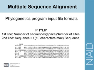 Phylogenetics program input file formats
PHYLIP
1st line: Number of sequences(space)Number of sites
2nd line: Sequence ID (10 characters max) Sequence
Multiple Sequence Alignment
 