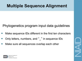 Phylogenetics program input data guidelines
• Make sequence IDs different in the first ten characters
• Only letters, numbers, and “_” in sequence IDs
• Make sure all sequences overlap each other
Multiple Sequence Alignment
 