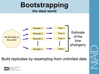 Bootstrapping
the ideal world
Build replicates by resampling from unlimited data
All the data in
the world
Sample n
Sample 3
Sample 2
Sample 1 Tree 1
Tree 2
Tree 3
Tree n
Estimate
of the
true
phylogeny
 