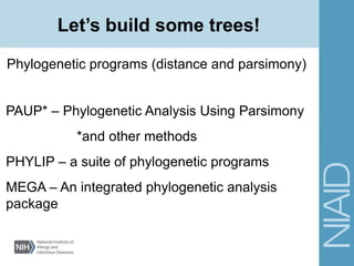 Let’s build some trees!
Phylogenetic programs (distance and parsimony)
PAUP* – Phylogenetic Analysis Using Parsimony
*and other methods
PHYLIP – a suite of phylogenetic programs
MEGA – An integrated phylogenetic analysis
package
 