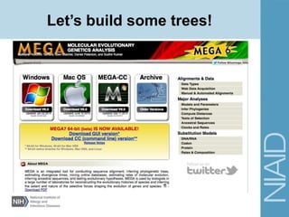 Let’s build some trees!
 