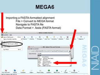 Importing a FASTA-formatted alignment
File > Convert to MEGA format
Navigate to FASTA file
Data Format > .fasta (FASTA format)
MEGA6
 