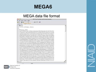 MEGA data file format
MEGA6
 