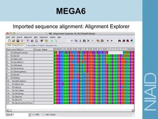 Imported sequence alignment: Alignment Explorer
MEGA6
 