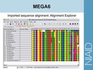 Imported sequence alignment: Alignment Explorer
MEGA6
 