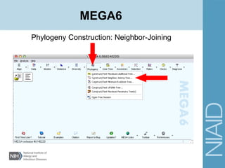 Phylogeny Construction: Neighbor-Joining
MEGA6
 