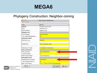 Phylogeny Construction: Neighbor-Joining
MEGA6
 