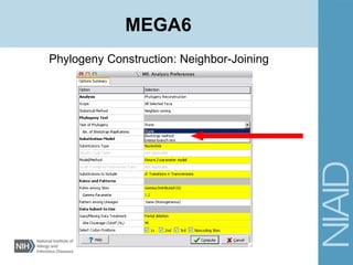 Phylogeny Construction: Neighbor-Joining
MEGA6
 