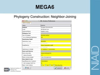 Phylogeny Construction: Neighbor-Joining
MEGA6
 