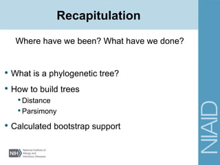 Recapitulation
• What is a phylogenetic tree?
• How to build trees
•Distance
•Parsimony
• Calculated bootstrap support
Where have we been? What have we done?
 