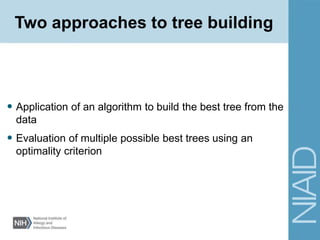 Two approaches to tree building
• Application of an algorithm to build the best tree from the
data
• Evaluation of multiple possible best trees using an
optimality criterion
 