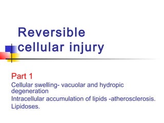 Reversible
cellular injury
Part 1
Cellular swelling- vacuolar and hydropic
degeneration
Intracellular accumulation of lipids -atherosclerosis.
Lipidoses.
 